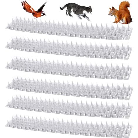 Pointes d'oiseaux en Plastique Pointes De Protection Oiseau Pointes Anti-Oiseaux Lot De 6 Clous De Protection Anti-Oiseaux en Plastique Transparent Anti-Chat pour Une Utilisation en IntéRieur (1/5)