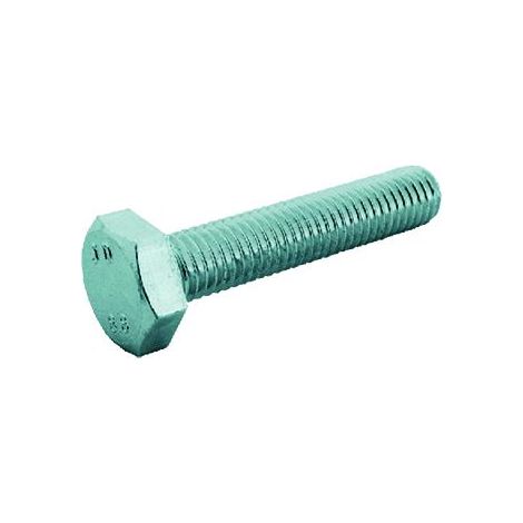 Bullone Testa Esagonale 8.8  T.E. 8 X 60 Cf. 200 Pz
