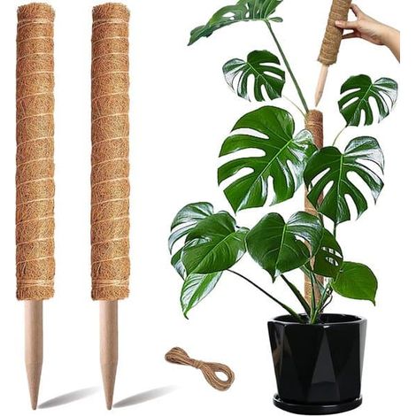 Support pour mousse - Treillis - Tuteurs pour plantes grimpantes - Support pour plantes - Convient aux Monstera, Pothos et Arbre porte-bonheur - 2 pièces - 50 cm (1/5)