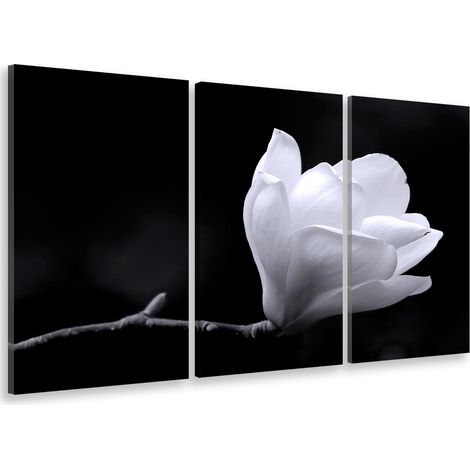 Tableau triptyque deco perfection florale - 90x60 cm (1/5)