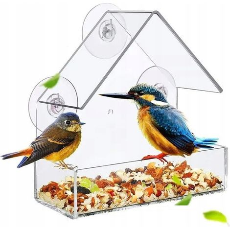 Mangiatoia trasparente per uccelli PER uccelli CASETTA casetta scatola PER ventose per vetro finestra (1/5)