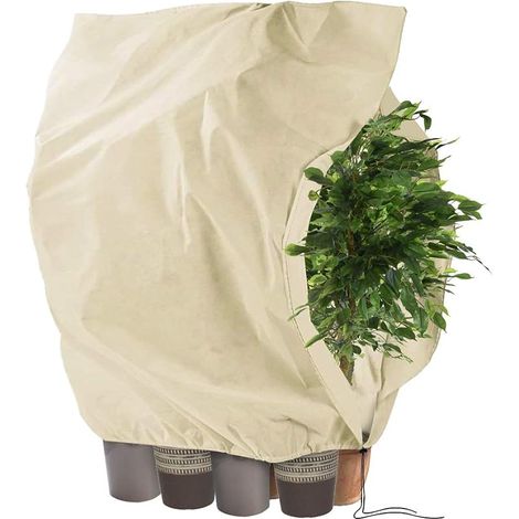 Housse D'hivernage, Housse de Protection pour Plantes, Voile d'hivernage économique Grande Capacité - 240 x 200 cm (1/5)