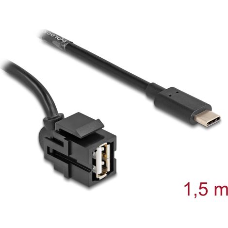Delock MÃ³dulo Keystone USB 2.0 A hembra  USB Type-Câ¢ macho 250Â° con cable 1,5 m