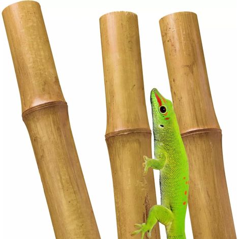 Soporte para plantas de bambú de 40 cm (6-8 mm)