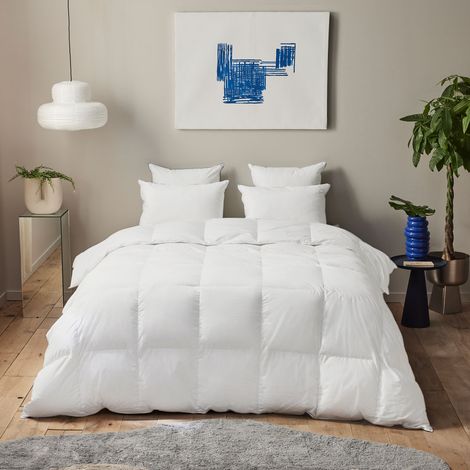 Couette Premium - 30% duvet - Chaude - 200/200 - DUNLOPILLO