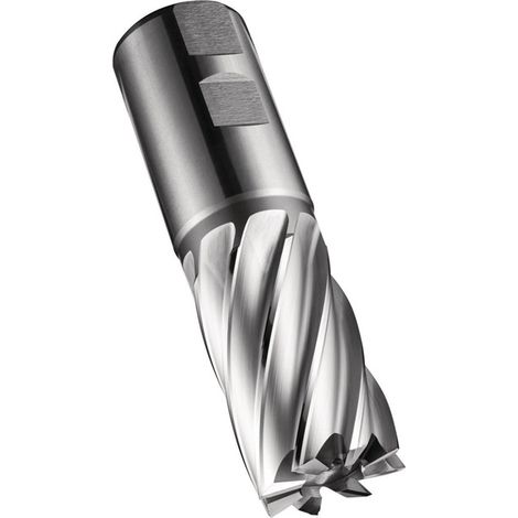 Fresa a candela C247 DIN 844 K D.25,4mm Lama-L.45mm HSS-E-PM Grezzo 30Gradi Z.5