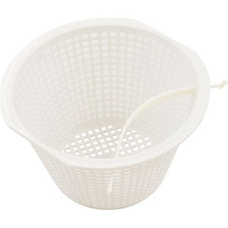 Panier Filtre de Skimmer Pentair B-172 – Remplaement pour Écumeur de Piscine (1/4)