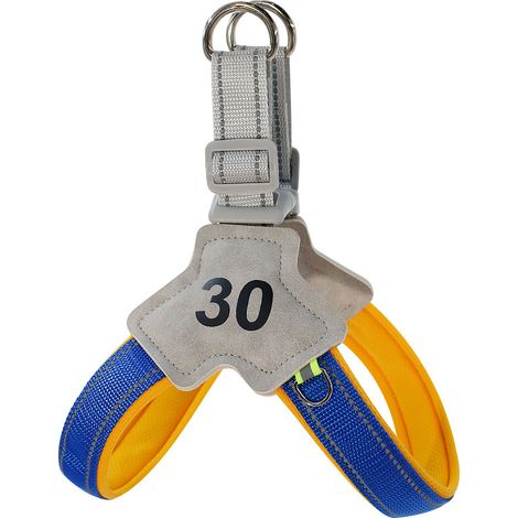 Harnais pour chien avec laisse de 1,5 m, réglable et respirant, doté de bandes réfléchissantes, idéal pour les promenades, les voyages ou l'entraînement en extérieur, taille XL, bleu. (1/5)