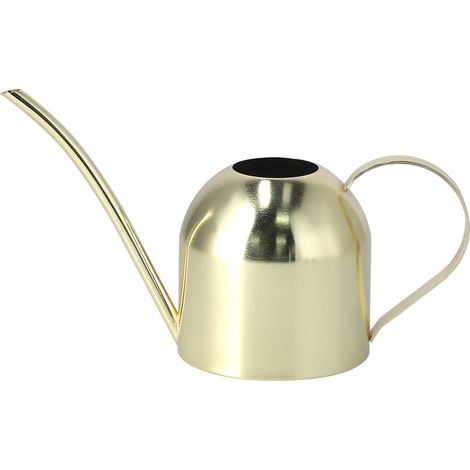 Arrosoir 1000ML vintage en acier inoxydable doré pour plantes succulentes et fleurs d'intérieur (1/5)