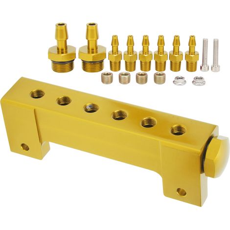 Collecteur d'aspiration universel à 6 ports 1/8" NPT, finition or (1/5)