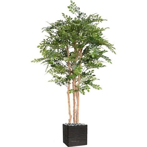 Acacia artificiel eco 4 troncs Naturels en pot H 170 cm Vert - dimhaut: H 170 cm - couleur: Vert (1/3)