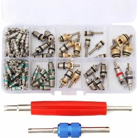 Lot de 100 noyaux de valve R12/R134A pour climatisation automobile – Cuivre et laiton – Compatible Buick, Toyota, Honda, Volkswagen (1/4)