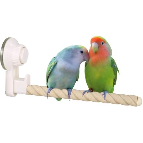 Suction Perch for Birds, Support for Windows/Bath/Car/Travel Parrot, Parakeet, Cockatiel, Lovebird (1/5)