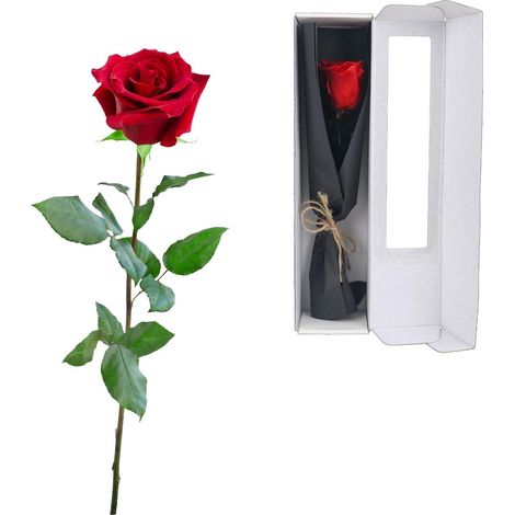 Rose Éternelle - Rose Infinity Cadeau Fete des Meres Fleur Préservée en Coffret Cadeau Femme Rose Cadeau Romantique Fête des Mères Noël Anniversaire (1/5)