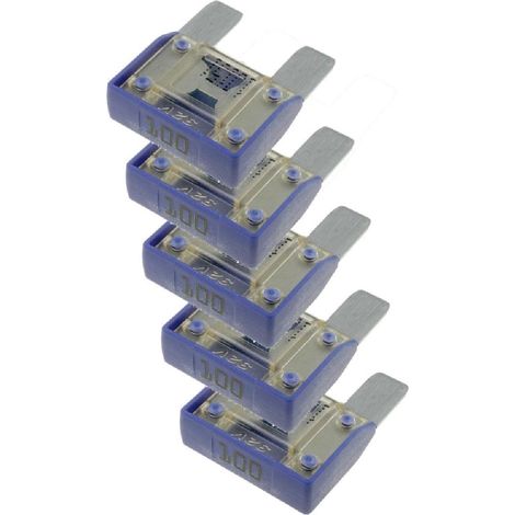 5x Maxi Fusibles 100A 29mm MAXIVAL