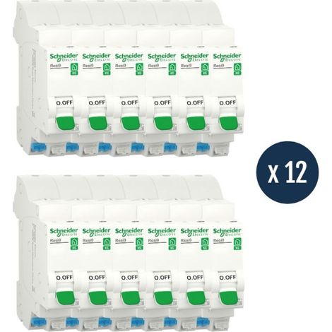Lot de 12 disjoncteurs modulaires - 1P + N - 6 A - Courbe C - Embrochable - Resi9 XE - R9EFC606-12 - Schneider