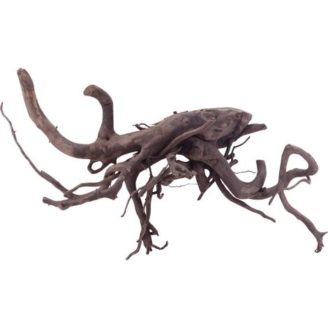 XL Black Spider Wurzel Nr.5253 Fingerwurzel Echtholz Deko Aquascaping