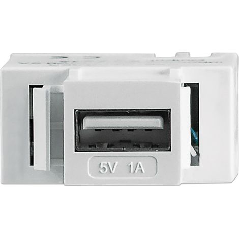 Intellinet Presa USB con aggancio Keystone per Ricarica (1/5)