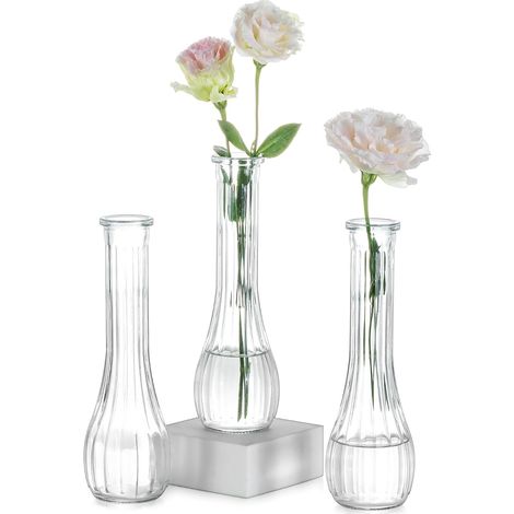 Petit Vase en Verre pour Fleur: 3 Pièces 21,7cm Haut, Transparent (1/5)