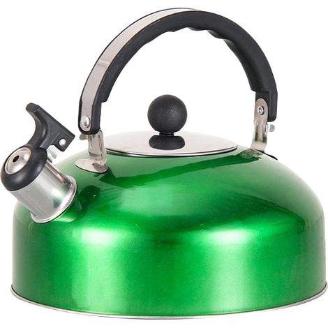Bouilloire À Chant - Acier Inoxydable - Pour Plaque De Cuisinière Et Induction - Poignée Ergonomique Isolée - 3 L
