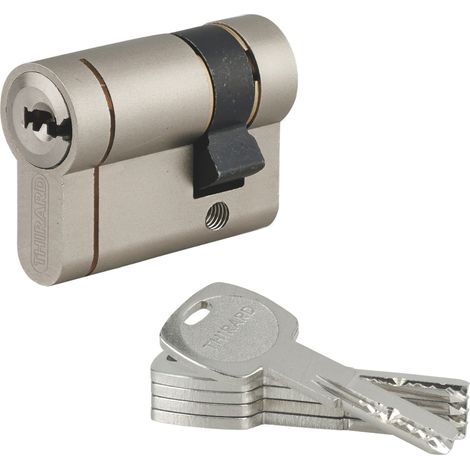 THIRARD - Demi cylindre de serrure Transit 1 UNIKEY (achetez-en plusieurs, ouvrez avec la même clé), 40x10mm, 5 clés, nickelé - THIRARD