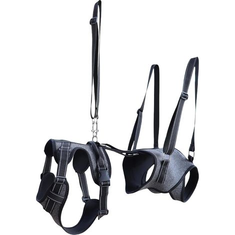 Harnais de Levage pour Chien - Veste d'Assistance à la (1/5)
