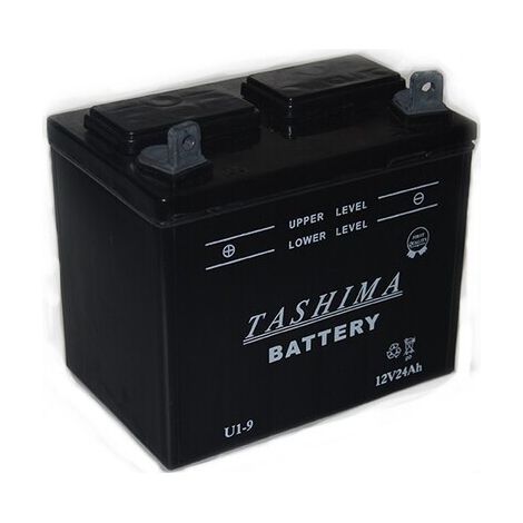Batterie U1L9 + links