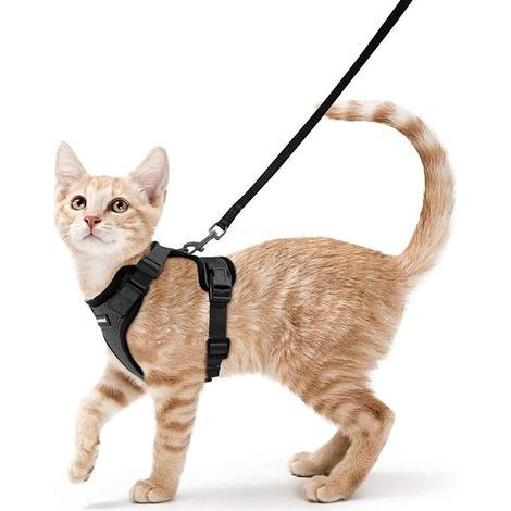 Arnés para gatos, correa para perros pequeños, arnés ajustable para gatitos, negro, talla S, collar reflectante para arnés de gato, chaleco transpirable para conejos, European Shorthair, Maine Coon, P (1/5)