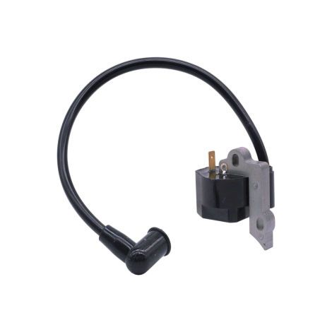 S-giant Bobine d'allumage compatible avec 545024901 530039237 578287001 (1/5)