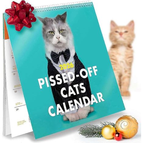 Calendrier Chats en colère 2026 - Cadeau drôle et impertinent pour les amoureux des chats - Agenda mural de 12 mois, idéal comme cadeau humoristique ou de Noël. (1/5)