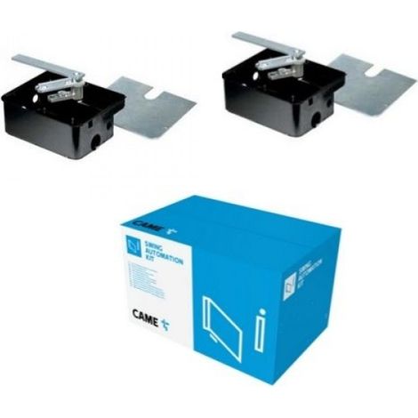Kit 2 Pezzi Casse Di Fondazione Per Motori FROG Cancelli Battente