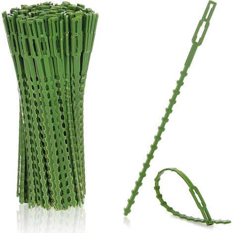 200x Liant végétal en Plastique Vert - Stabilise Les Plantes - Ruban de Reliure pour Arbres - Fixation 17 cm (1/5)