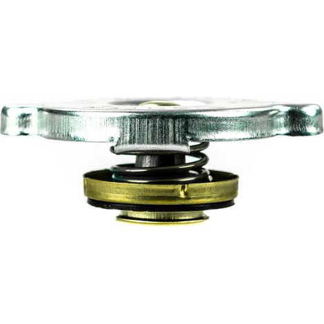 Tappo di riempimento del radiatore 74712040 162000530701 47107906 (1/5)