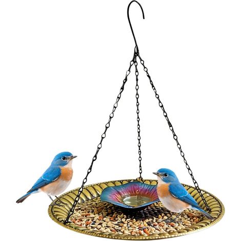 Mangeoires à Oiseaux avec Chaîne, Décoration Jardin en Métal Résistante  Bassin en fer avec crochet pour jardin, terrasse, balcon, clôture, balustrade (1/5)