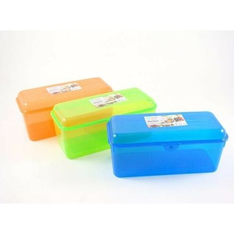 BLIMBOX CONTENITORE IN PLASTICA 27x12x11.5cm 3.1lt
