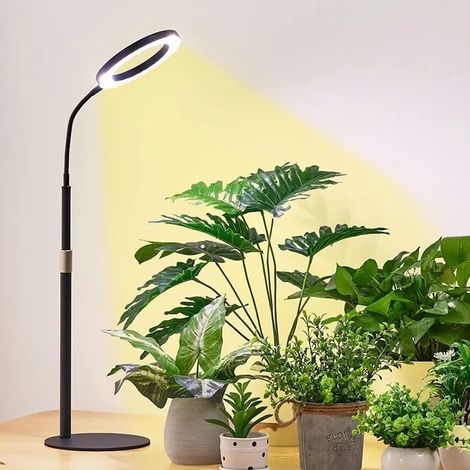 Lampe de culture pour plantes d'intérieur - 80 LED - Spectre complet 380–800 nm - Minuterie 6/12/16 h - 5 niveaux d'intensité (1/5)