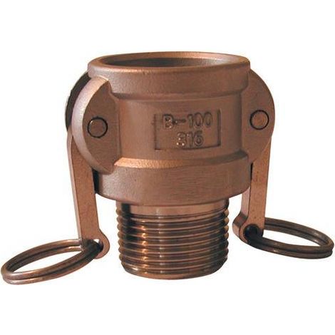 Raccord Camlock femelle - embout fileté male en laiton - Type B Ø A: 1''1/4Ø B: 1''1/4 (1/2)