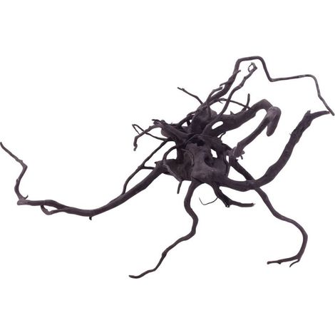 XL Black Spider Wurzel Nr.5277 Fingerwurzel Echtholz Deko Aquascaping