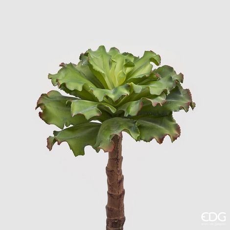 EDG Enzo De Gasperi Succulente West Ramo H 36 Cm Light Green – Pianta Artificiale Decorativa Realistica Design Moderno