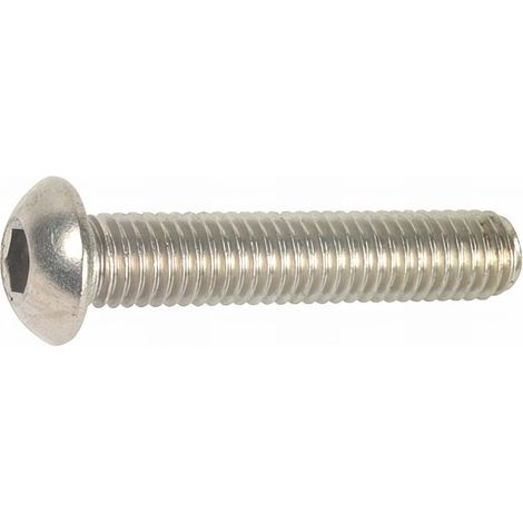 50 Vis métaux tête bombée hexagonale creuse Iso7380 A2 10.0 X 20 mm