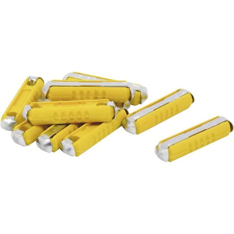 10 fusibles steatites 16a SODELEC - 16058