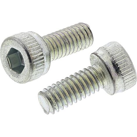 Vis à six pans creux, M8 x 10mm, en Acier ( Prix pour Sachet de 100 )
