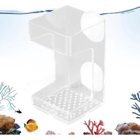 Distributore di mangime a ventosa per pesci, per acquario, per la cura dell'acquario, con erogazione controllata del mangime, 9,5 x 5,4 x 5,4 cm, non specificato (1/5)
