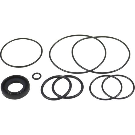 Kit di guarnizioni per pompa a ingranaggi PZL-Hydral PZ2-KP-25L per mietitrebbia Bizon (1/2)