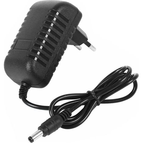 Chargeur 12V pour Voiture Électrique Enfant Sortie DC 1000mA, Câble Compatible avec Voitures Electriques Enfants (1/5)