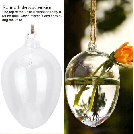 Vase suspendu en verre en forme d'œuf pour culture hydroponique (1/5)