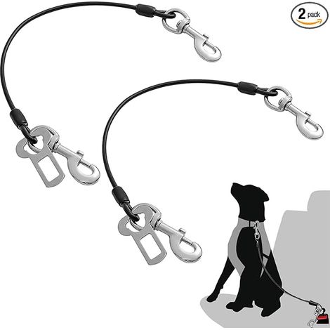 Ceinture Chien Harnais Chien Crochet Câble Acier Chiens Chiots Petits Moyens Grands Chiens (40cm) (1/5)