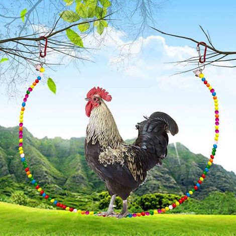 Perchoir poule en bois fait main, balançoire pour poules, jouet perchoir suspendu pour poulailler, accessoire élevage poules.
