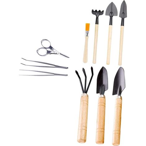 Mini Kit de Plantation 10 Pièces en Bois sans Bavure pour Bonsaï 10pcs, , pour Plantation et Jardinage, Adapté aux Plantes Succulentes Garçon et Filles (1/5)