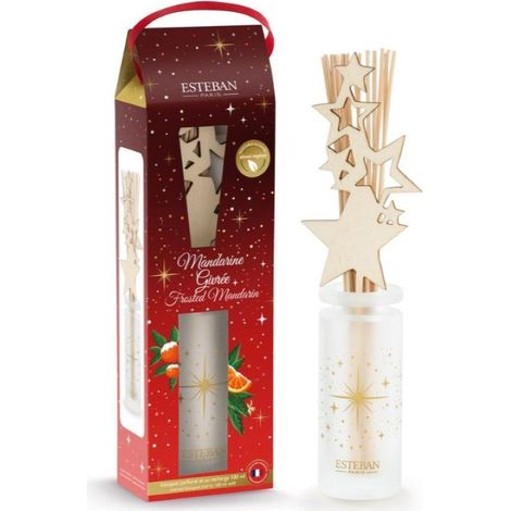 Esteban - Bouquet parfumé Mandarine givrée 100 ml